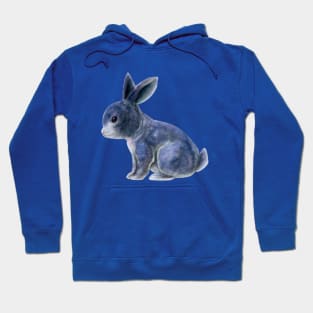 Space Bunny Hoodie